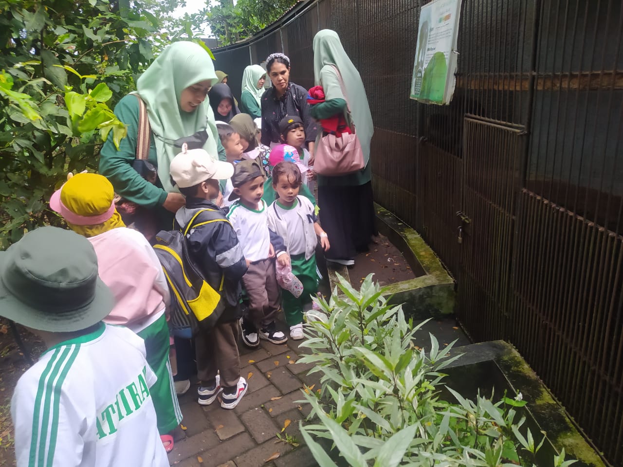  TK Islam Athirah Bukit Baruga Memperkenal Beberapa Jenis Satwa Ke Anak Didik