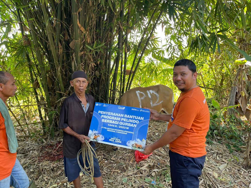  Iduladha 1444 H, Pelindo Regional 4 Makassar Sembelih 3 Ekor Hewan Qurban