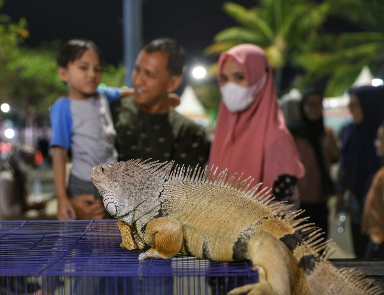  F8 Sajikan Pengalaman Belajar tentang Fauna yang Menginspirasi