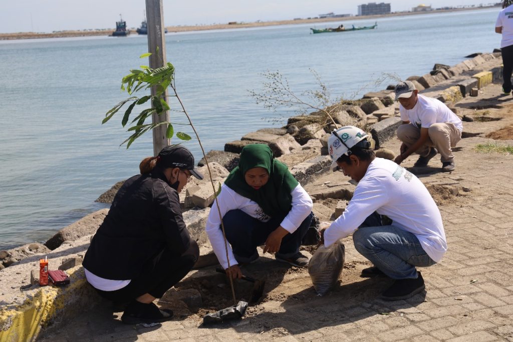 Pelindo Regional 4 Tanam 2.500 Pohon di Sekitar Pelabuhan