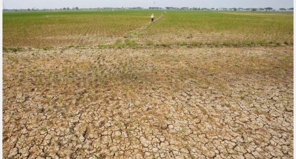 El Nino, Berkepanjangan Berdampak Debit Air Berkurang Kemampuan PLTA Turun 75% Dari 850 Megawatt.