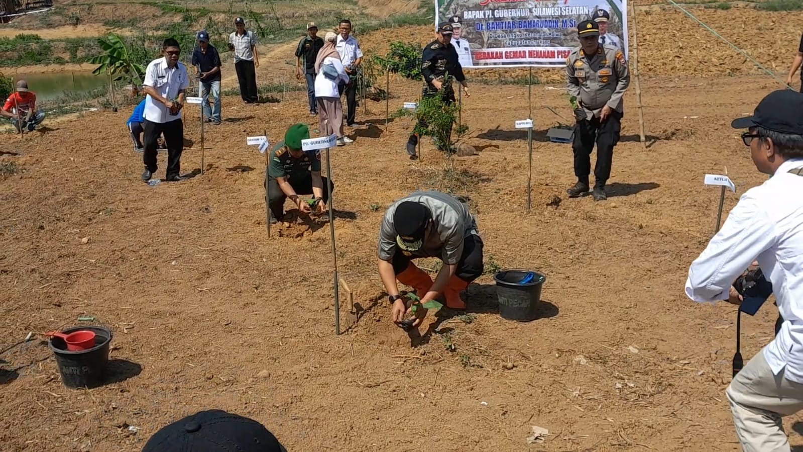 Pj Gubernur Turun Langsung Ajar Petani Tanam Pisang