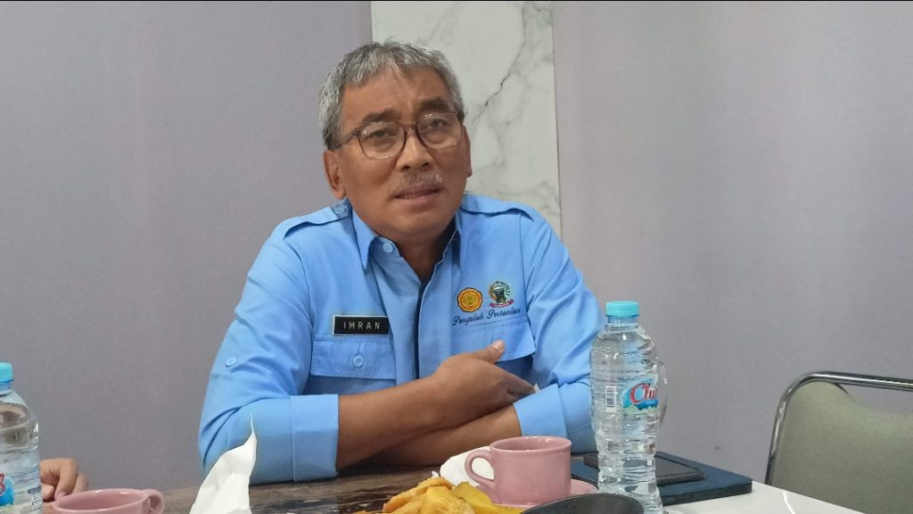 Pemprov Sulsel Genjot Produksi Padi di Masa El-Nino