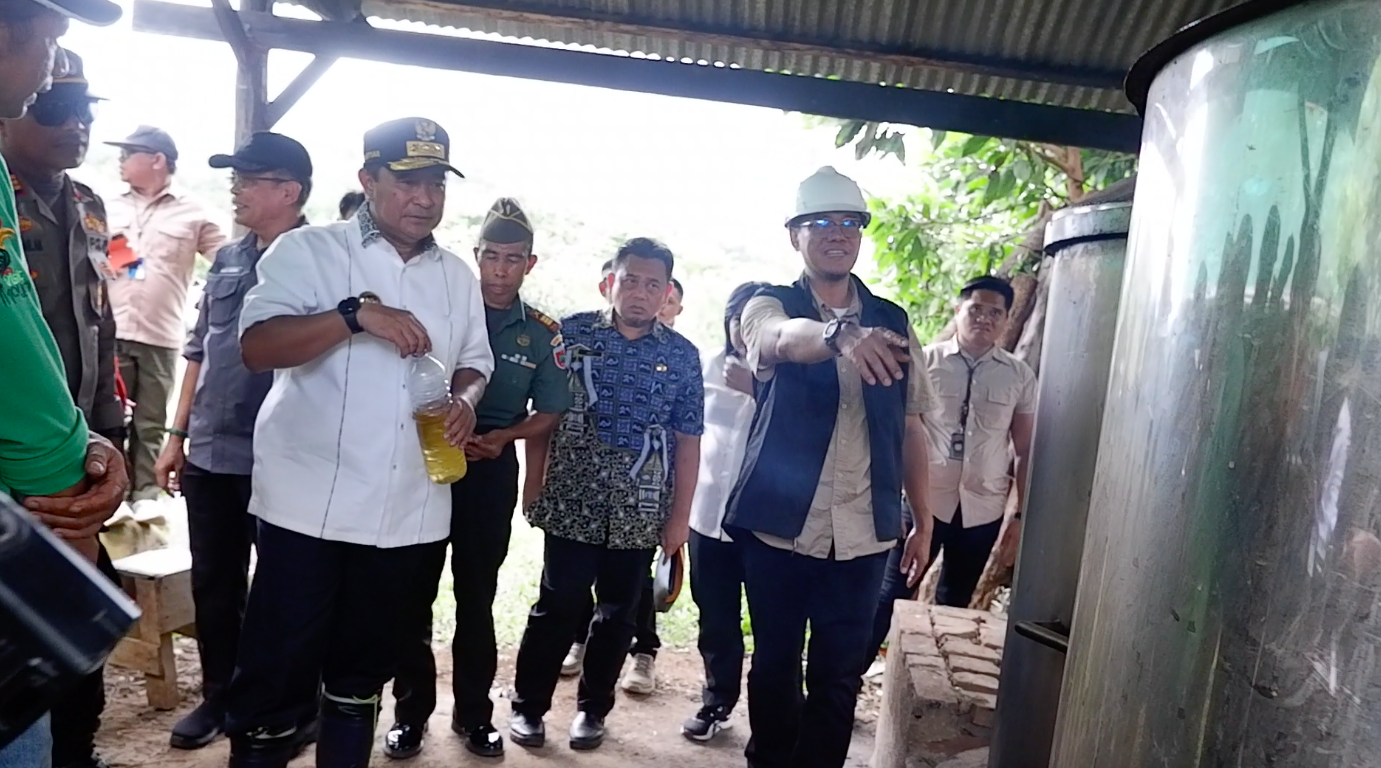  Pertama di Sulsel, Tumbuhan Kayu Putih Berpotensi Jadi Ekonomi Baru di Sulsel