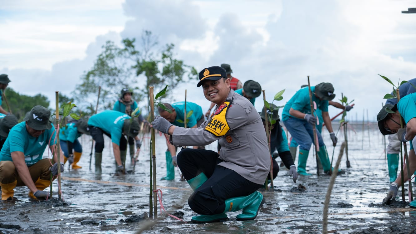  Moment Hari Lingkungan Hidup Sedunia, PT Vale Gelar Penanaman Pohon