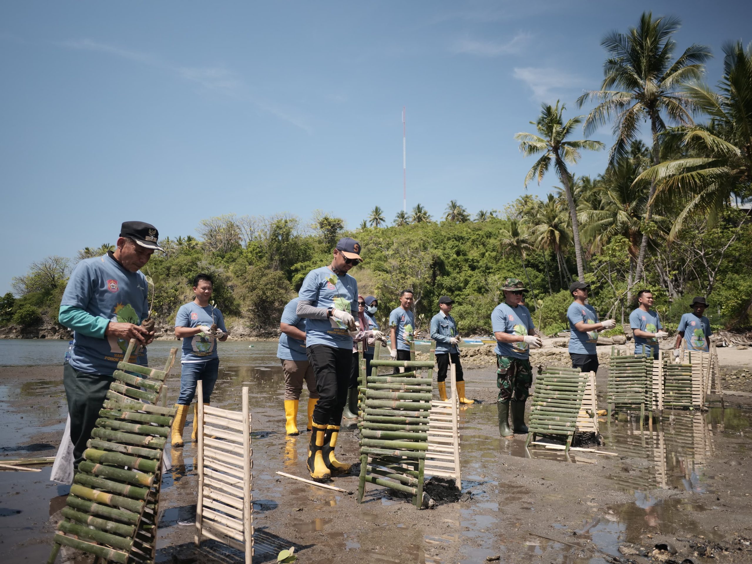  Gelar Aksi Penanaman Mangrove dan Bersih Pantai, Wujud PT. Pertamina Peringati Hari Menanam Pohon Indonesia