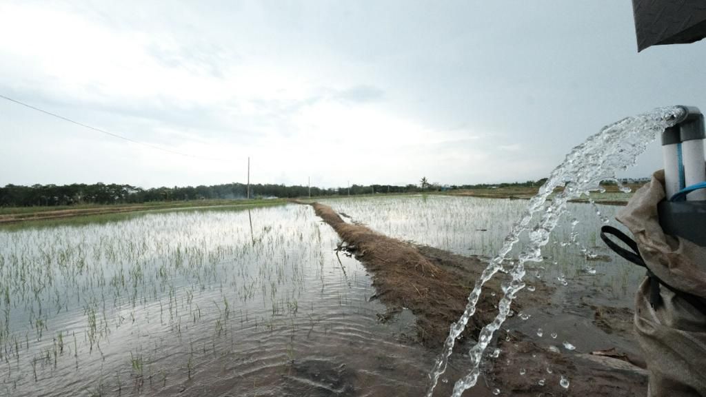 Sukses, Program Electrifying Agriculture PLN Bantu Tingkatkan Produktivitas Usaha Petani
