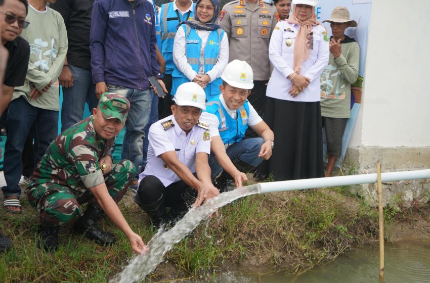  Program EA PLN, Bukti Tingkatkan Produksi dan Hemat Biaya Operasional Bagi Petani