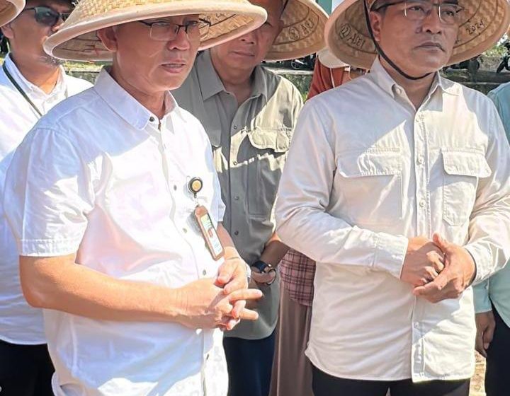  Dukung Program Swasembada Pangan Presiden RI, Kab. Bantul Lakukan Gerakan  Pengolahan Lahan dan Penanaman Padi