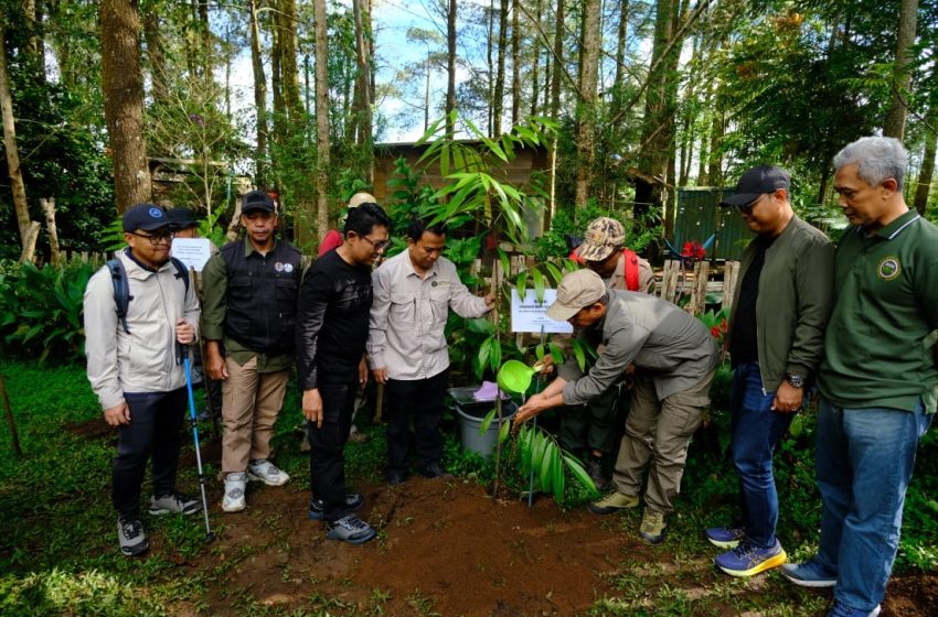 PT. Vale & KLHK Lakukan Aksi Bersih-Bersih Gunung Bawakaraeng dan Edukasi Daur Ulang Sampah Plastik