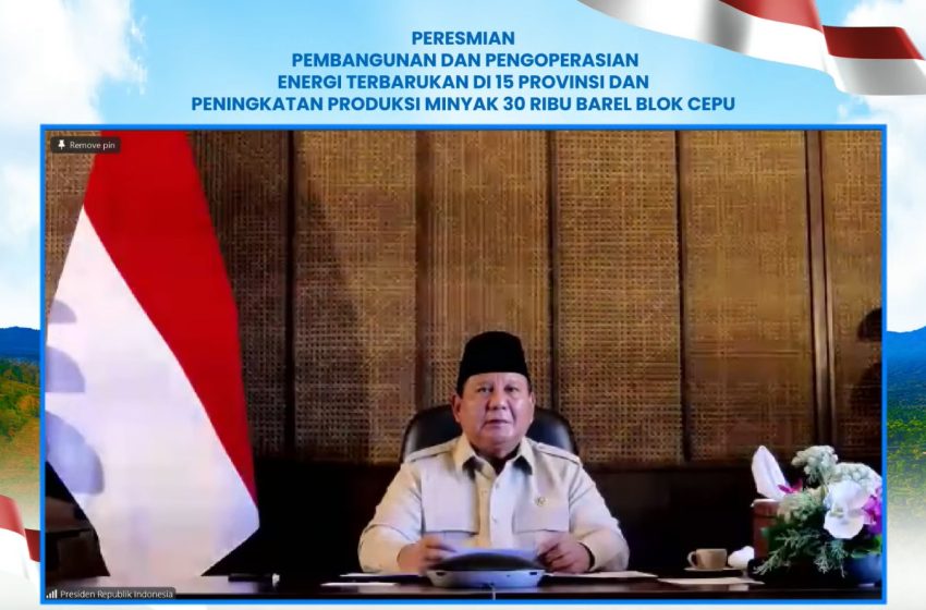 11 Provinsi di Indonesia Bagian dari Pemerataan Energi di Wilayah 3T