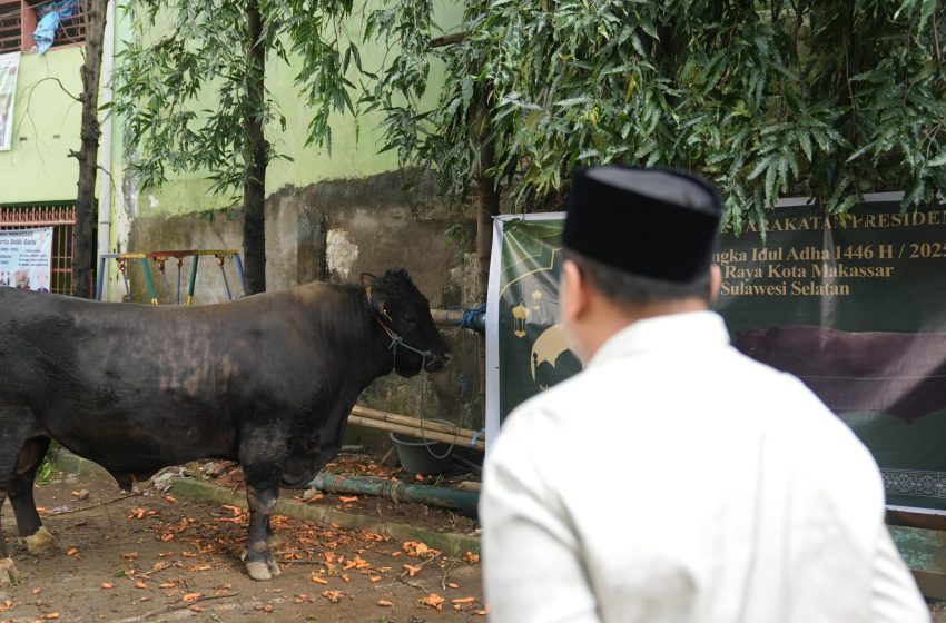  Presiden Prabowo Titip Hewan Kurbannya di Makassar