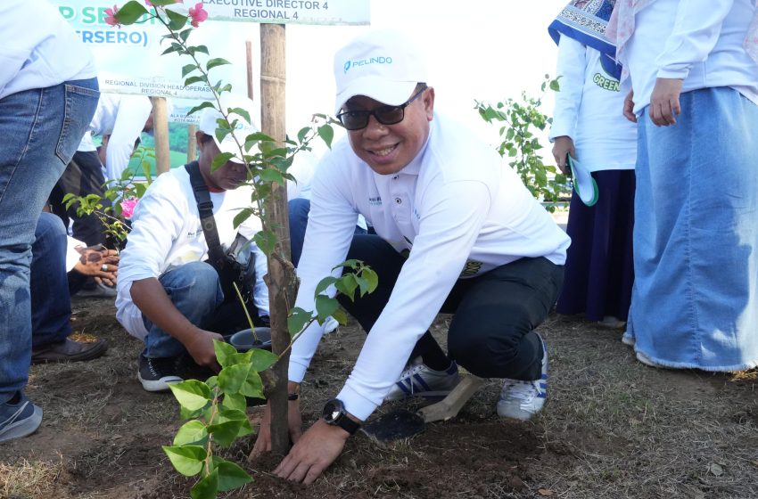  Aksi Nyata Penghijauan, PT. Pelindo Aksi Penanaman Bougenville