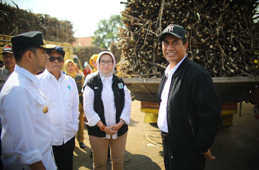  6 Strategi Kunci Capai Swasembada Gula Nasional di Sampaikam Amran