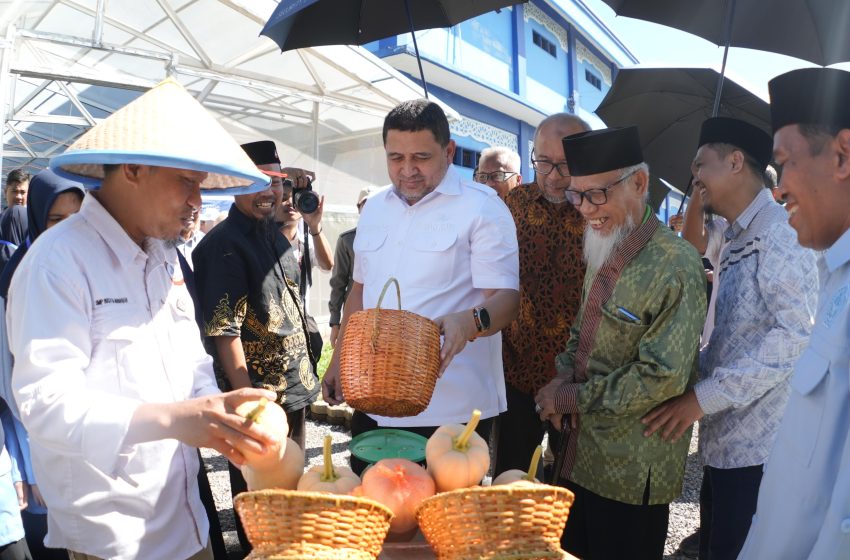  Pemkot Makassar Siap Dorong Ketahan Pangan & Kemandirian Ekonomi