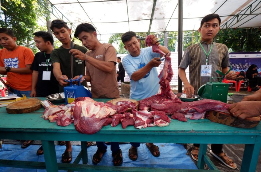  Bentuk Rasa Syukur dan Kepedulian Sosial Pelindo Regional 4 Kurban 35 Ekor Sapi