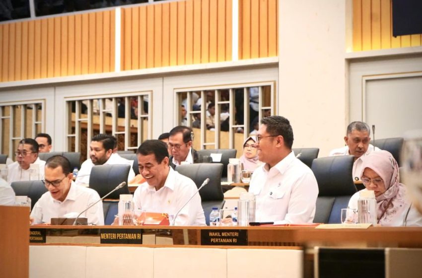  Tunjukkan Kinerja Gemilang, Mentan RI Berhasil Jaga stok Beras Nasional di Level 4,2 juta ton