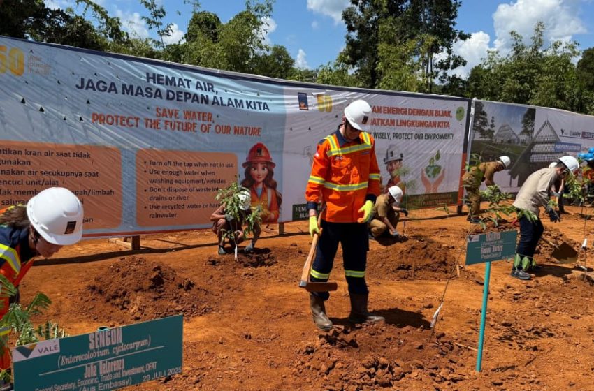  PT. Vale Kembangkan Industri Nikel Berkelanjutan Lewat IGP Pomala