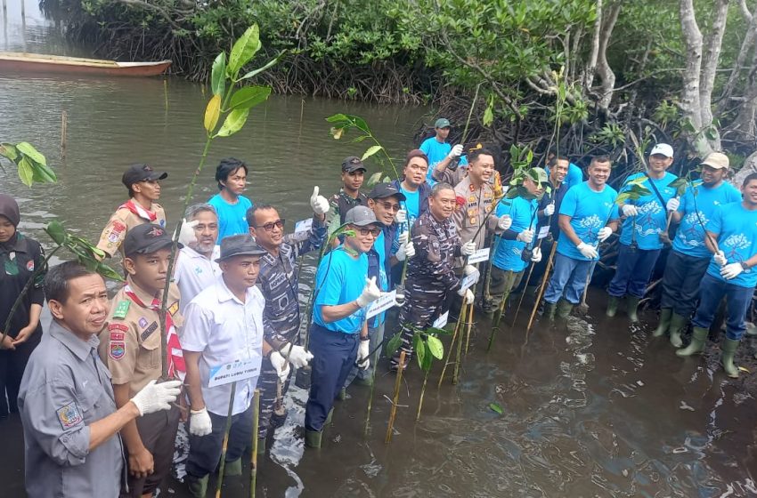  2.000 Bibit Bibit Mangrove di Tebar PT. Vale di Pesisir Pasi-Pasi