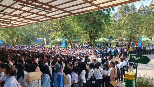  Pengangguran di Sulsel Tembus 238 Ribu Orang, Disnakertrans Sulsel Galakkan Pekerja Mandiri 