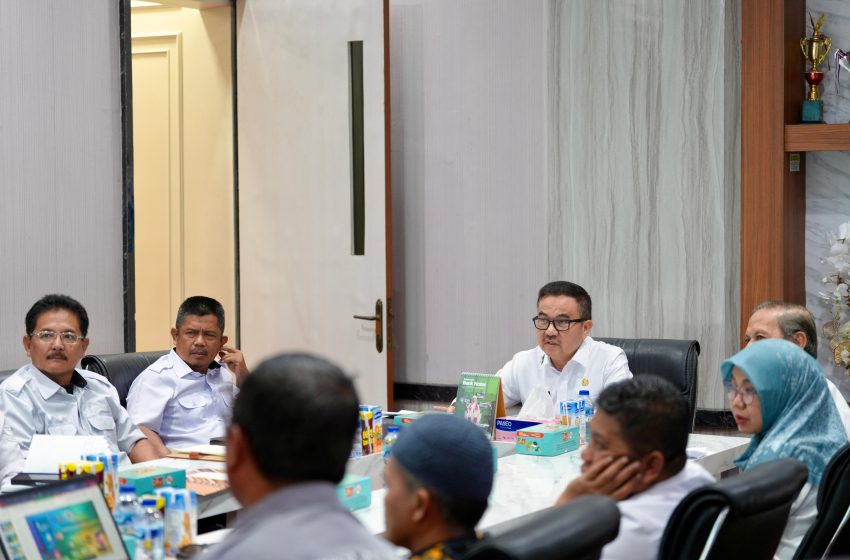  Sekda Jufri Rahman Paparkan 10 Peran Pemprov Sulsel dalam Mendorong Kabupaten/Kota Sehat