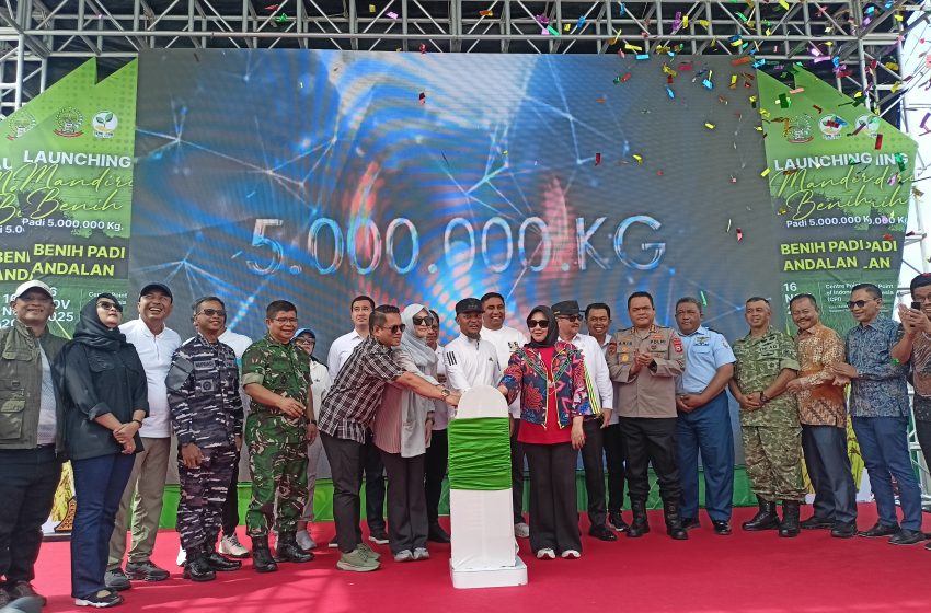  Gubernur Andi Sudirman Luncurkan Mandiri Benih, Salurkan 5 Juta Kg Benih Padi Unggul untuk Petani se-Sulsel