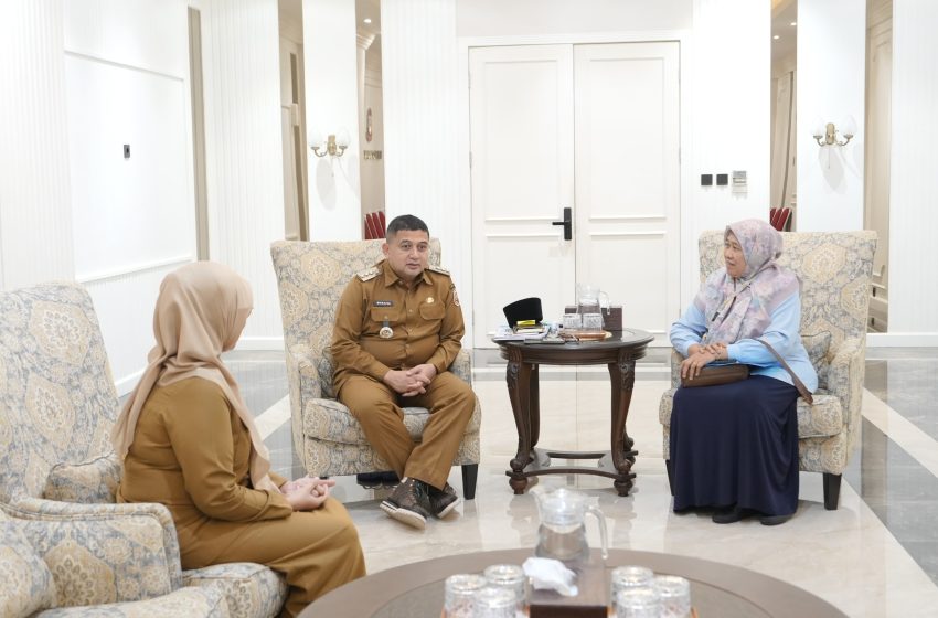  Pemkot Makassar Dorong Penguatan Layanan Kesehatan Melalui APEC Child Health Workshop