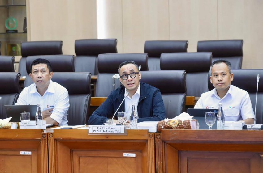  Hadirin RDP di Komisi XII, PT Vale Sampaikan Hilirisasi Nikel