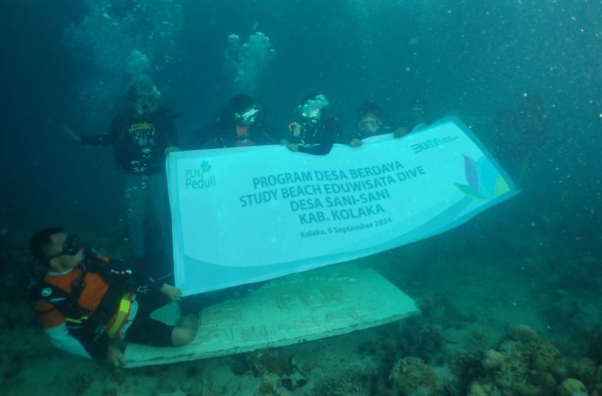  Lewat Program Desa Berdaya PLN Beri Harapan Baru, Peningkatan Ekonomi