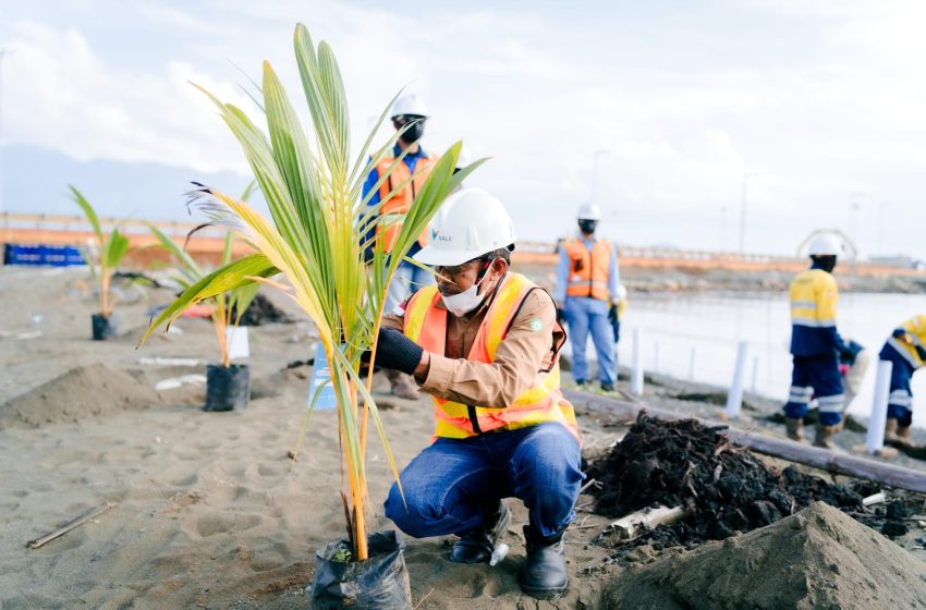  Peringati Hari Bumi 2026, PT Vale Perkuat Aksi Hijau di Morowali Lewat Penanaman Pohon dan Bersih Pantai