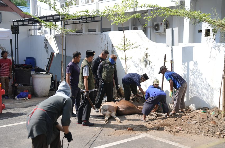  Iduladha 1447 H, Pemkot Makassar Perkuat Kepedulian Sosial Lewat Kurban Bersama