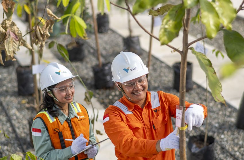  Transformasi ESG Menguat, PT Vale Genjot Investasi Lingkungan dan Sosial Sepanjang 2025
