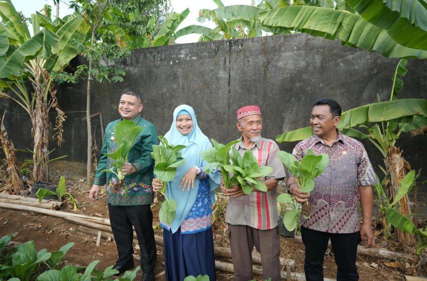  Urban Farming Makassar Makin Masif, Wali Kota Ungkap Target Besarnya