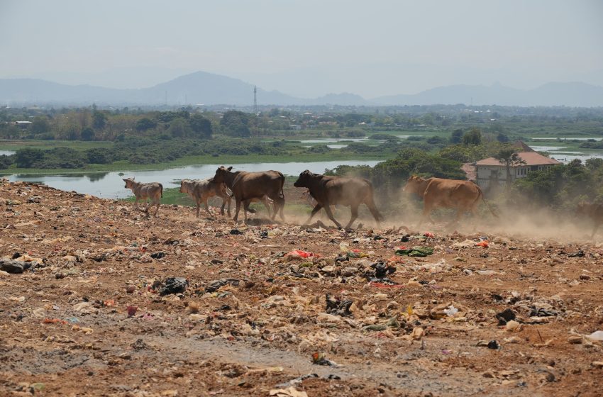  Sampah Menumpuk Jadi Sumber Energi? Ini Rencana Baru TPA Tamangapa