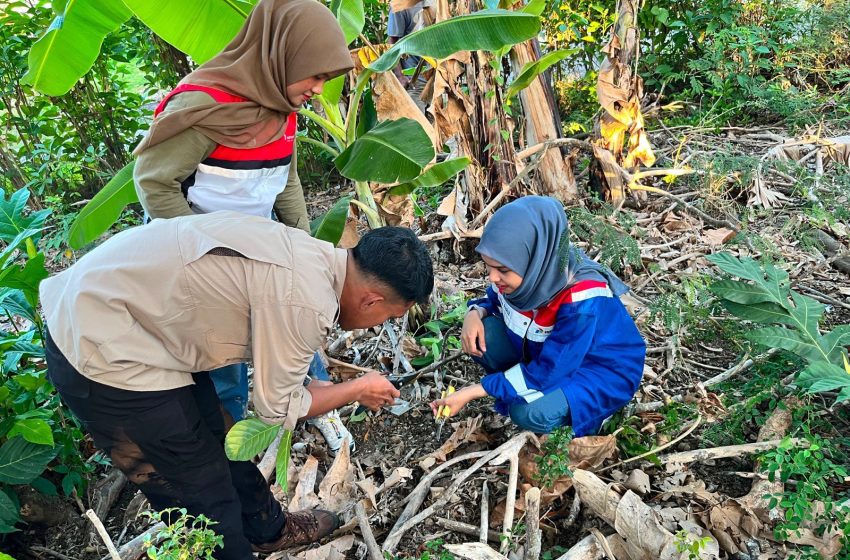  Pertamina dan Kebun Raya Pucak Eksplorasi Flora Bone, Enam Jenis Tanaman Dikumpulkan