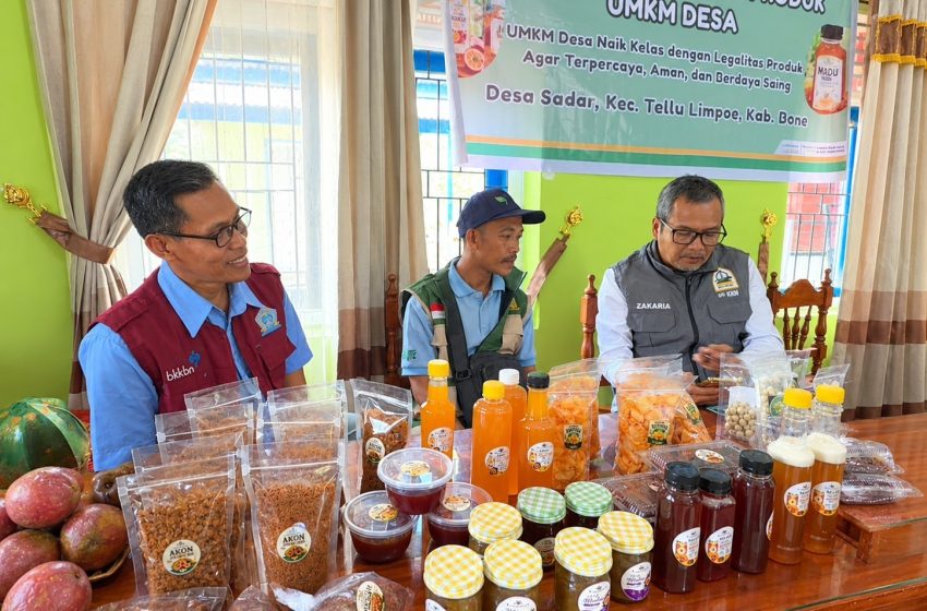  Dorong Produk Lokal Tembus Pasar Luas, LAZ Hadji Kalla Dampingi UMKM Bone